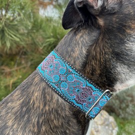 Martingale Dog Collar for Greyhound Saluki Whippet and Other Breeds with Similar Neck 2" Wide (11"-14")