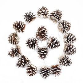 TRIXES 18PC Snow Tipped Hanging Pine Cones - Snow Dusted Pine Cones Christmas Decorations - Xmas Pine Cones Ornaments - Christmas Tree Decorations Pine Cones - White