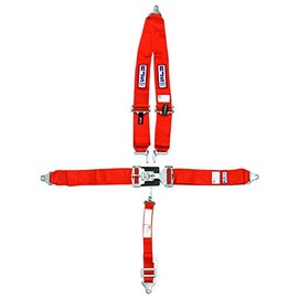 RJS Racing Equipment 1125404 Harness System , Red
