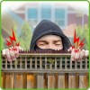 De-bird Cat Bird Repellent Spikes Outdoor Fence Security Plastic Deterrent