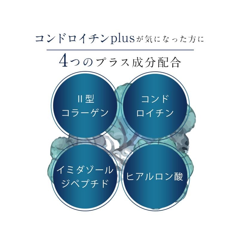 Ogaland Proteoglycan Sante Sante (180 Tablets / Approx. 6 Months