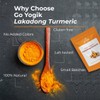 Go-Yogik Lakadong Turmeric Powder-5.3oz, High Curcumin -Lab Tested | Superfood