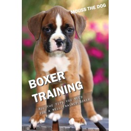 BOXER TRAINING: All the tips you need for a well-trained Boxer