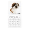 THE DOG Calendar 2026 Wall-Mounted Mini Size [Shih Tzu]