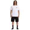 DC Shoes Worker Baggy 19.5 Inch Work Denim Shorts for