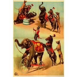 Circus, Clown, Carnivals Ringling Bros Barnum and Bailey Vintage Poster #6-11 x 17 Inches (Black - Framed)
