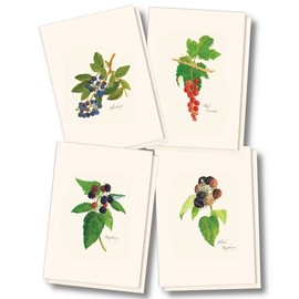 Earth Sky + Water - Berry Assortment Notecard Set - 8 Blank Cards with Envelopes (2 each of 4 styles)