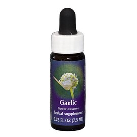 FES Garlic Quintessentials 7.5ml