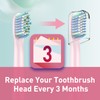 Replacement Brush Heads Compatible with Rtauys M5 Sonic Electric Toothbrush,
