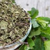 GranAroma Dried Spearmint Leaves, 2.8 oz, Refreshing & Aromatic, Drinks