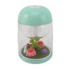 Micro Landscape Humidifier Cute Quiet 2 in 1 Ultrasonic Essential