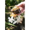 Bálsamo Natural Cera Abeja Melipona Hidratante Rostro Labios Cutículas Cuerpo
