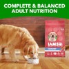 Iams Dry Dog Food IAMS Large Breed Adult Dry Dog