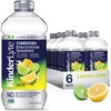 KinderLyte Advanced Electrolyte Solution for Kids and Adults - Hydration