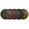 Alpha 4" Alpha Ceramica EX Diamond Polishing Pad - 2000