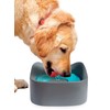 Jobar No Spill Pet Bowl, Multi