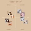 Milfee My Kitty Eye Palette (02 Ragdoll) Cat 4 Colors