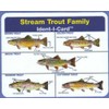 Ident-I-Cards Stream Trout Freshwater Fish Identification Card