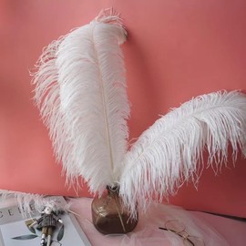 15pcs Natural Ostrich Feathers 12-14inch (30-35cm) for Wedding Party Centerpieces，Flower Arrangement and Home Decoration (White)