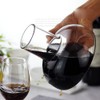 Tamume Wine Aerator Decanter Wine Decanter, Carafe for Wine Champagne