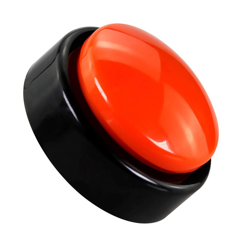 Big Button Timer - time Talking Clock for Blind, Date