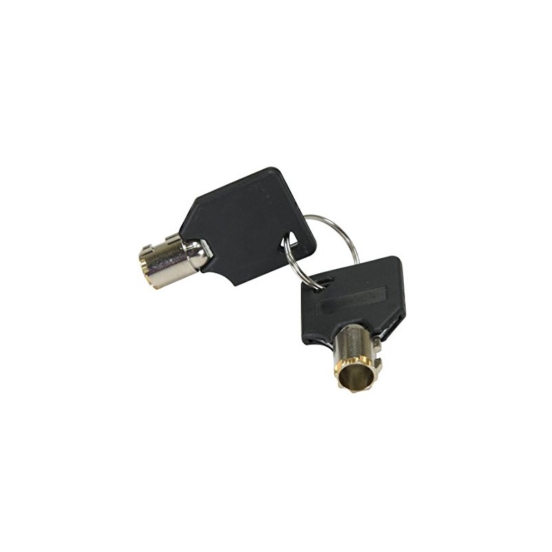 Vestil PARK-P-108-FD-KEY Factory Fabricated Pair of Replacement Keys for Park-P