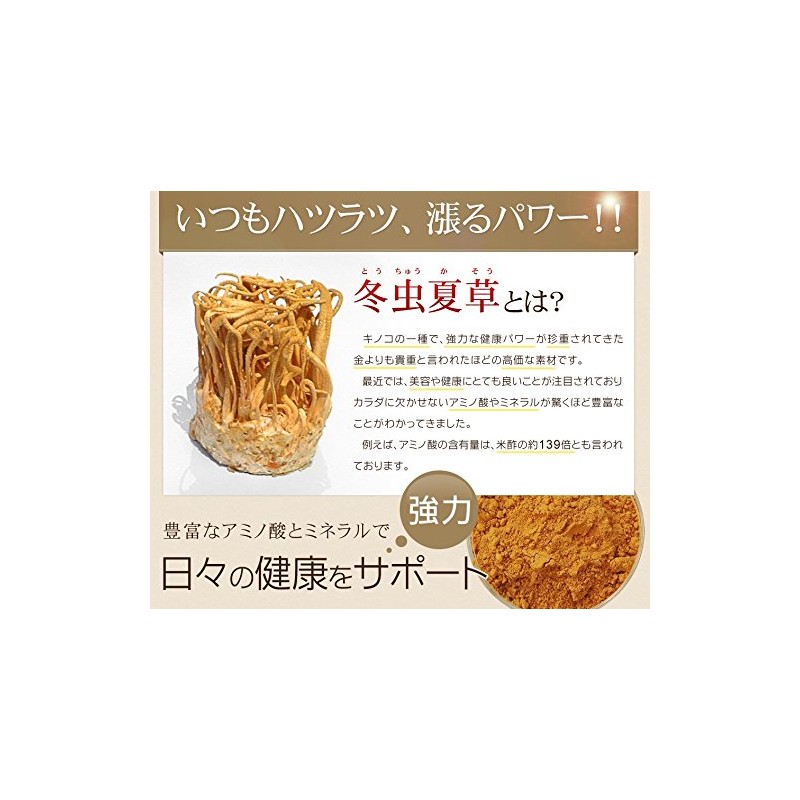 シードコムス 冬虫夏草 サプリメント 子実体 を贅沢に使用 (約1ヶ月分 30粒)
