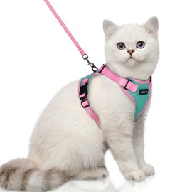 rabbitgoo Cat Harness and Leash Set, Escape Proof Soft Adjustable Vest Harnesses for Outdoor Walking, Easy Control Breathable Kitten Jacket with Reflective Strips, Green & Pink, XS