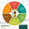 PROBIOTICO 100PAST