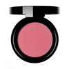 Backstage Powder Blusher Colour 31 - Mixed Berries