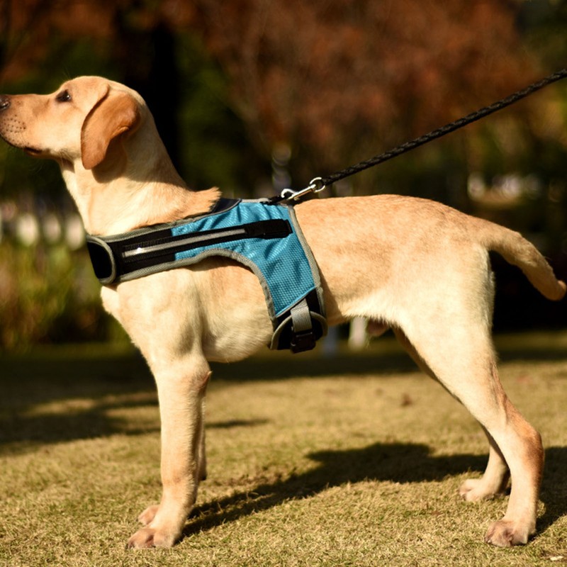 Dog Harness with LED Light Adjustable Comfortable Relieve Neck Pressure