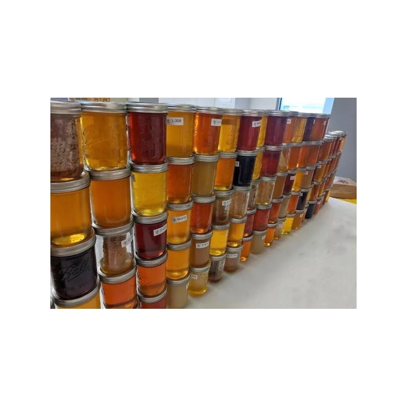 Rent A Hive Killer Bee HONEY The best HONEY ON