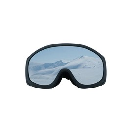Piranha Adult Piranha Smoke Anti Fog Dual Lens Snow Ski Snowmobile Performance Goggle