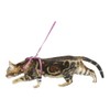 Kerbl Cat Harness with Leash, 120 cm x 10 mm,
