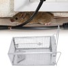Iron Rat Mouse Trap Cage Single Door Live Animal Trap