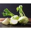 White Vienna Kohlrabi Seeds - Marde Ross & Co