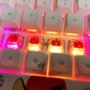 DRAOZA Gateron G Red Pro 3.0 Switches,5-Pin Pre Lubed RGB
