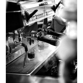 Black Insomnia Classic Roast Whole Bean Coffee - The Strongest Coffee in the World - 1lb Bag (Classic Roast)