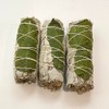 VIE Smudge Sticks, White Sage and Basil 4", Pack of