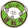 Na7na's Color Car Magnet Sticker Driving Momiji Mark Elderly Driving