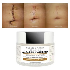 Crema Humectante cicatrizante Anti edad Jalea Real Melipona Todo tipo de piel Nuestra Tierra Cosmtica 60 Gr                                           