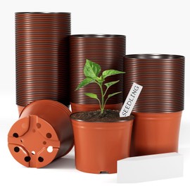 Bluckincle 100 Pcs Plant Nursery Pots, 6 Inch Large Plant Seedling Pots with Labels Plastic Plant Flower Pots with Drainage Holes Indoor Outdoor for Succulent Cutting Transplanting