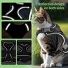 Cat Harness and Lead Set, Kitten Harness with 5m/16.4 Ft