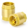 ERGAOBOY 2 Pcs One Way Brass Check Valve, 3/4" BSP