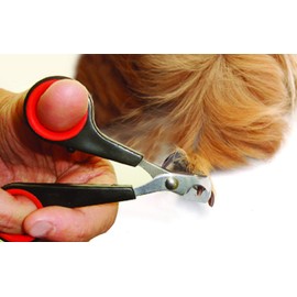 Lixit Grooming Kits For Rabbits, Guinea Pigs and other Small Animals. (2 Piece Kit)