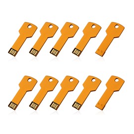 RAOYI 10 Pack 2GB USB Flash Drive USB 2.0 Metal Key Shape Memory Stick Thumb Drive Pen Drive-Gold