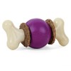 PetSafe Busy Buddy Bouncy Bone Dog Toy, Small