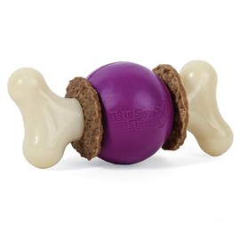 PetSafe Busy Buddy Bouncy Bone Dog Toy, Small