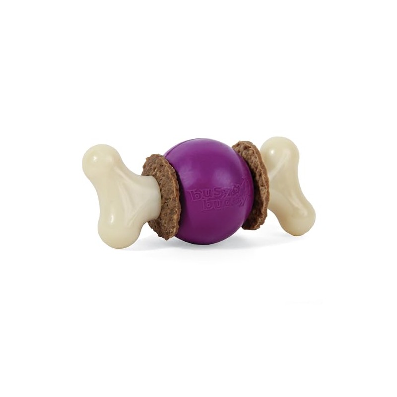 PetSafe Busy Buddy Bouncy Bone Dog Toy, Small