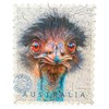 Twigg Puzzle Wooden Jigsaw Puzzle 74 Pieces - Emu